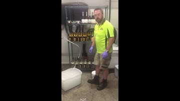 Lion Beer System Shutdown Procedure