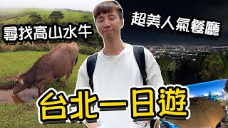 台北一日遊尋找擎天崗草原上的神秘水牛，超人氣陽明山百萬 ... 