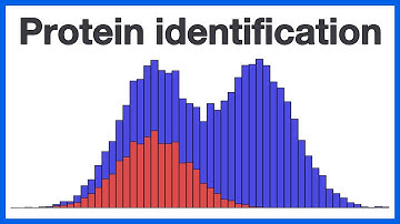 Protein identification: A deeper dive into analysis of MS-based proteomics data