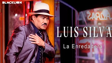Luis Silva - La Enredadera (Audio Oficial)