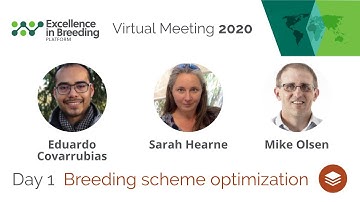 Breeding scheme optimization breakout session, Day 1 (EiB Virtual Meeting 2020)