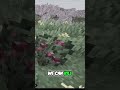 Survive the Mine: Level Up, Heal &amp; Craft to Stay Alive! #shorts