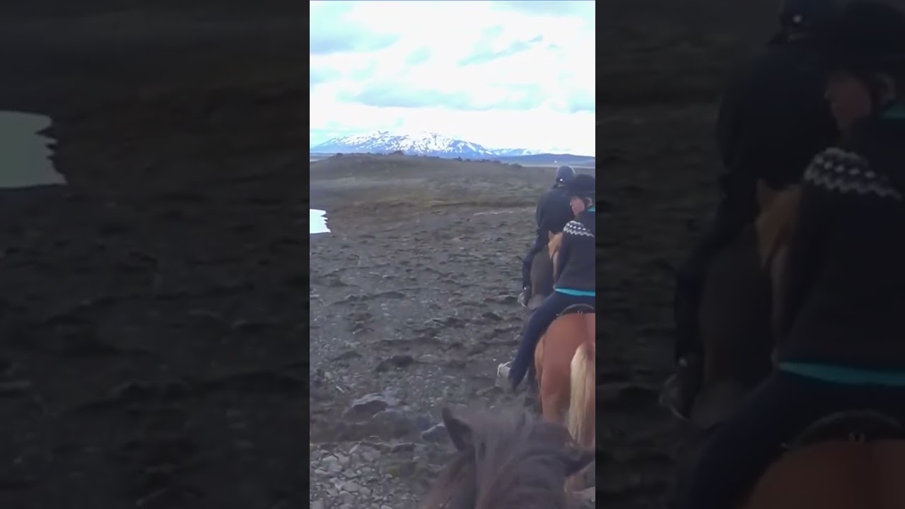 Crossing Lava Fields !   🇮🇸  🐴 