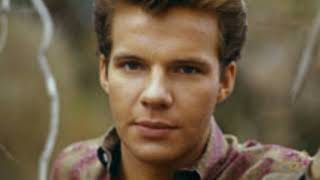 Something Has Come Between Us   BOBBY VEE