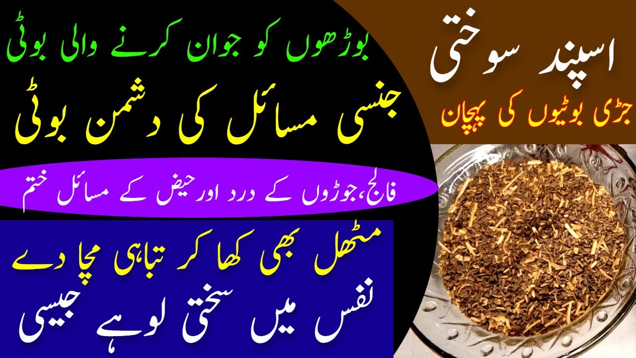 Aspand Sokhti Ke Fayde Garden Rue Health Benefits Harmal Ke Beej