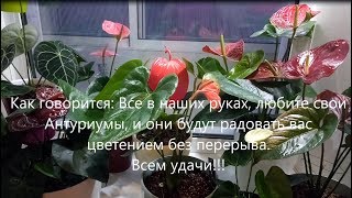 :    ,   