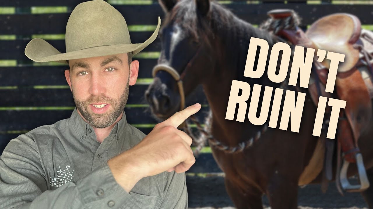 How to Make a Hackamore Last a Lifetime