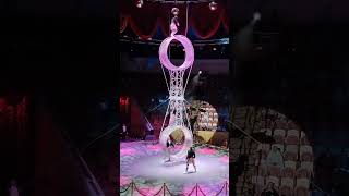 Шоу воды, огня и света в Омском цирке ?