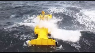 Mocean on STV News Aberdeen - Goals of reaching NetZero 2050