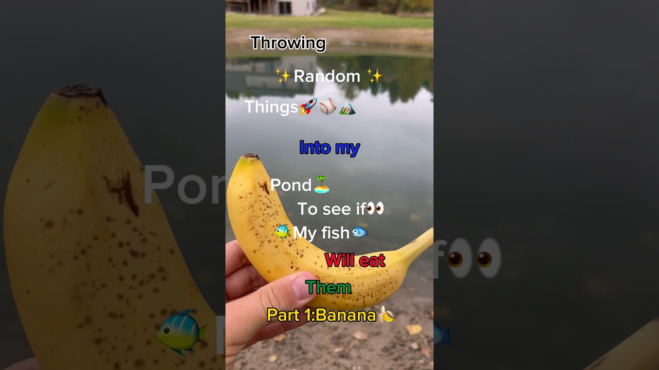 Do fish eat BANANAS?!? 