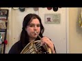 Better days ahead  pat metheny horn cover