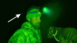 Alien In The Woods - Solo Camping With My Dog