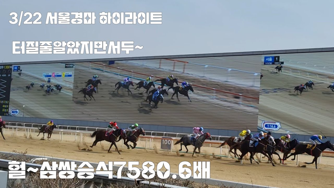 터진다고본 판은 역쉬 다사야되!(일요경마 최고배당 7580.6배)