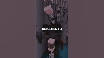 What has been the biggest plot twist that happened in your life? #askreddit #reels #redditstories