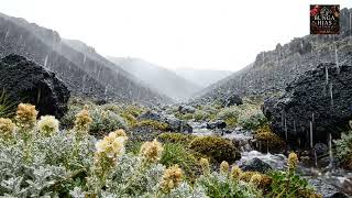 Gentle Rain in an Alpine Valley, Relaxing Mountain Stream Ambience for Deep Sleep, Study, Meditation