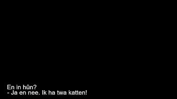 Learn Frisian 1.9 - Basic conversation (Frisian subtitles)