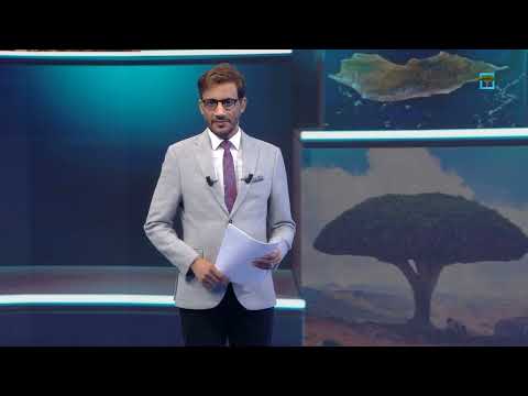 مركز سوقره يختتم دورة تدريبية للباحثين في سقطرى