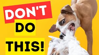 Top 5 MISTAKES Dog Owners Make Without Knowing Them| Stop No5 by Top 5 Animal Wonders 210 views 2 months ago 4 minutes, 8 seconds