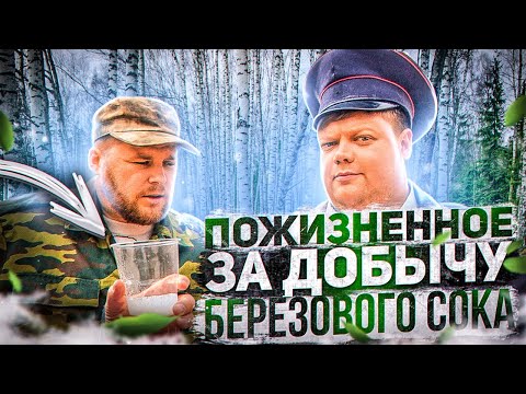 ПОЖИЗНЕННОЕ ЗА ДОБЫЧУ БЕРЕЗОВОГО СОКА