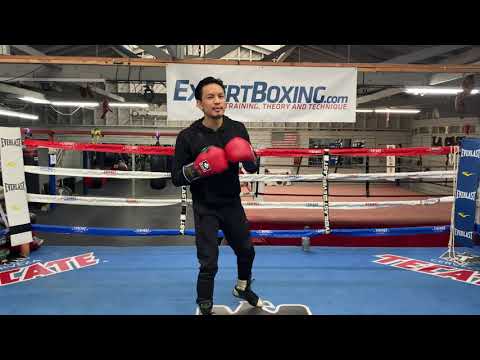 Southpaw Right Hook - punch technique