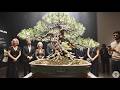 These Bonsai Shouldn’t Exist… And They Won Trophies (2026)