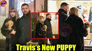 Exclusive: Travis Kelce & Taylor Swift Enjoy A Cozy Night Walk with New Puppy in KC