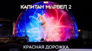 Премьера в Лас-Вегасе | Капитан Марвел 2 (красная дорожка)