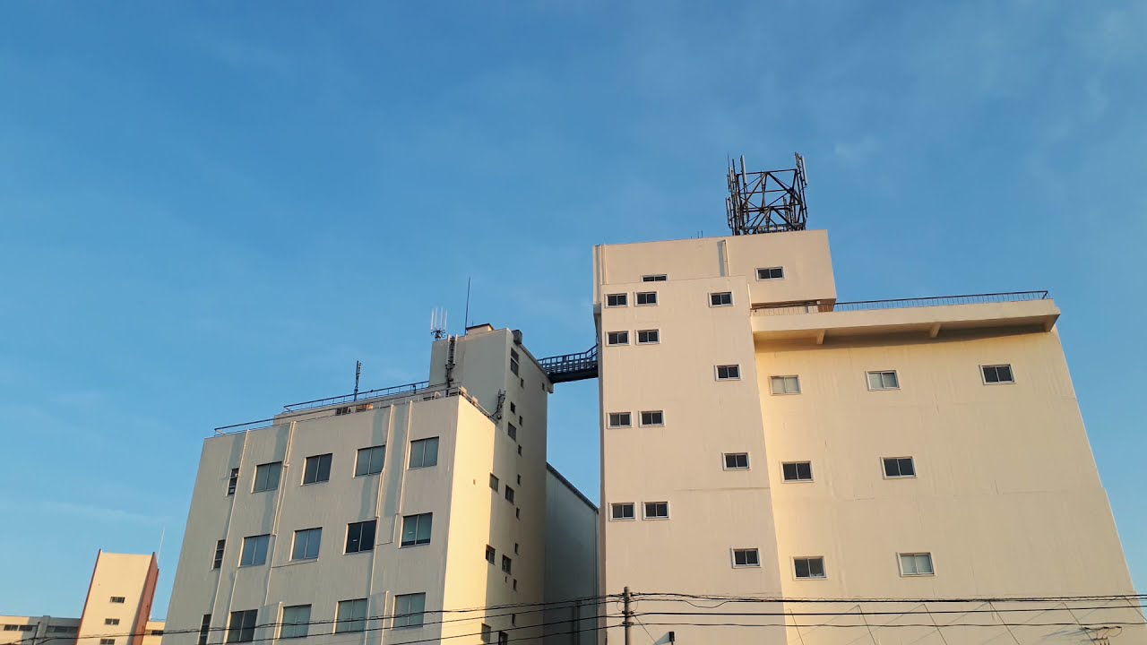 普門館跡地 佼成学園南 西側 普門メディアセンター 善福寺川取水施設 河北リハビリステーション 大宮小学校正門 大宮八幡入口信号 泉谷山大圓寺 永福町駅 東京都杉並区 Youtube 普門館跡地 佼成学園南 西側 普門メディアセンター 善福寺川取水施設 河北リハビリステーション 大宮小学校正門 大宮八幡入口信号 泉谷山大圓寺 永福町駅 東京都杉並区 Youtube
