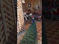 بصح التمتع بالحياه غير بالاشياء البسيطه بصح التمتع بالحياه غير بالاشياء البسيطه