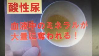 リトマス紙尿チェック