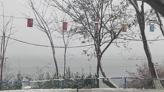 14 Şubat 2021 Istanbul kar yağışı - Şehir hatları Adalar vapuru / Snow in Istanbul 14 February 2021