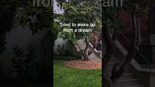 Title Fight - 27 #videolyrics #titlefight #modernbaseball #midwestemo #turnstile #alexg