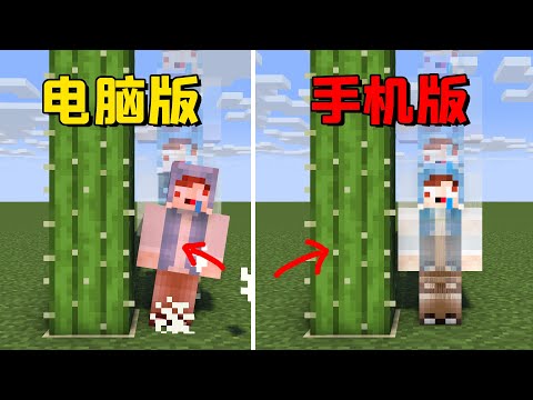 我的世界：Java版对比基岩版，永动机矿车是特性还是BUG？