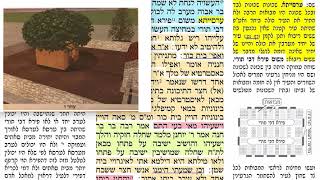 הדף היומי מסכת עירובין דף כו Daf yomi Eruvin daf 26 שמואל נבון