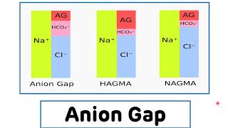 Anion Gap || Anion Gap For The Assessment of Metabolic Acidosis