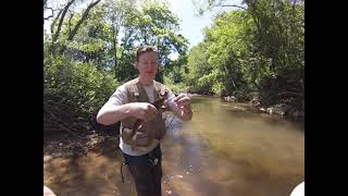 Trout Fishing with Daniel Cobb