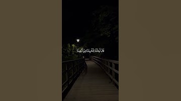 قران كريم بصوت الشيخ محمد ايوب #قرآن_كريم_ #المصحف #قرآن #quran
