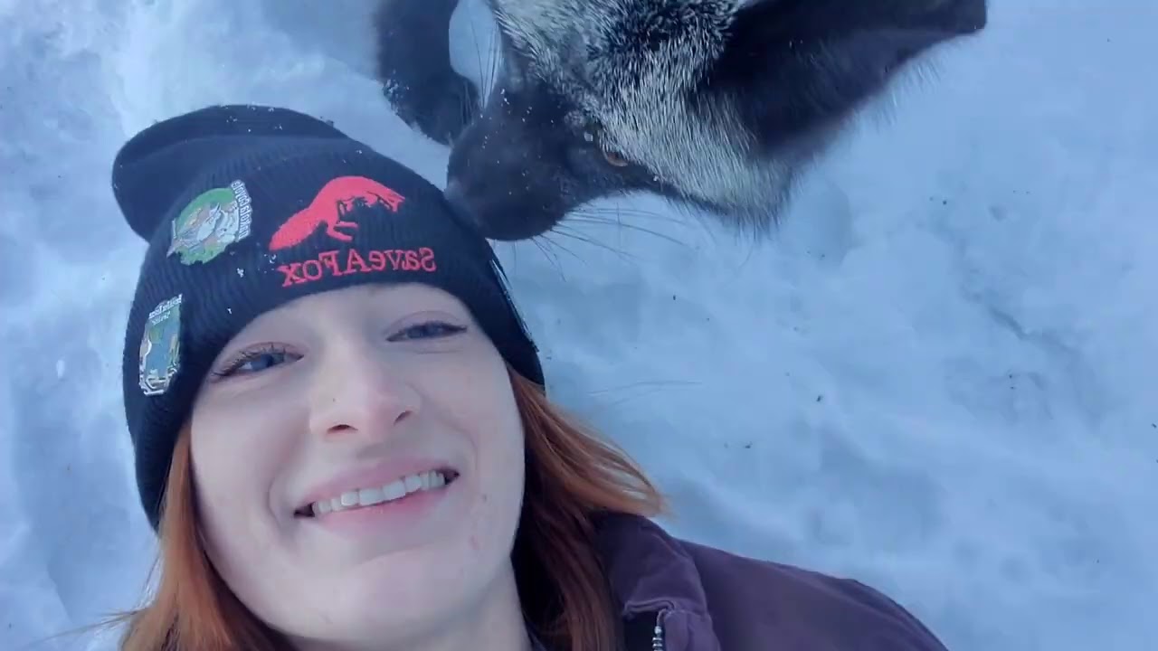 Vixie puts Dixie in a hole for Finnegan Fox Friday 😯 YouTube