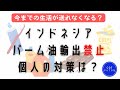 インドネシアがパーム油の輸出禁止★個人ができる対策はあるのか？【生活費6.5万円のアラフォー独女】