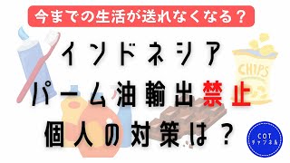 インドネシアがパーム油の輸出禁止★個人ができる対策はあるのか？【生活費6.5万円のアラフォー独女】