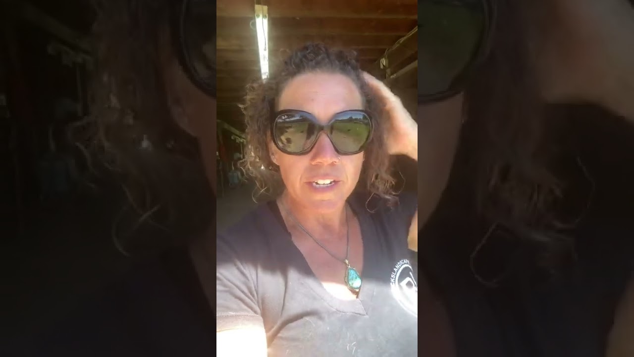 The Art of Horsemanship