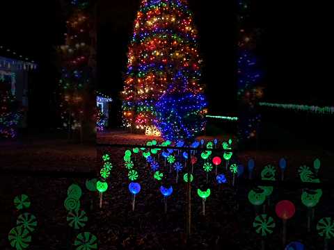 Video: Beste Weihnachtsbeleuchtung in Charlotte