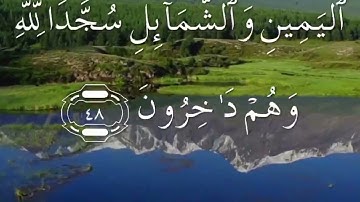 سورة النحل كاملة بصوت سعد الغامدي مكتوبة