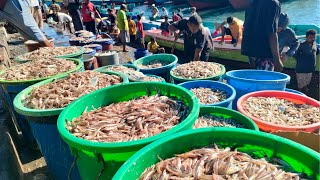 Beli Ikan Teri disini sa, Segar dan Murah