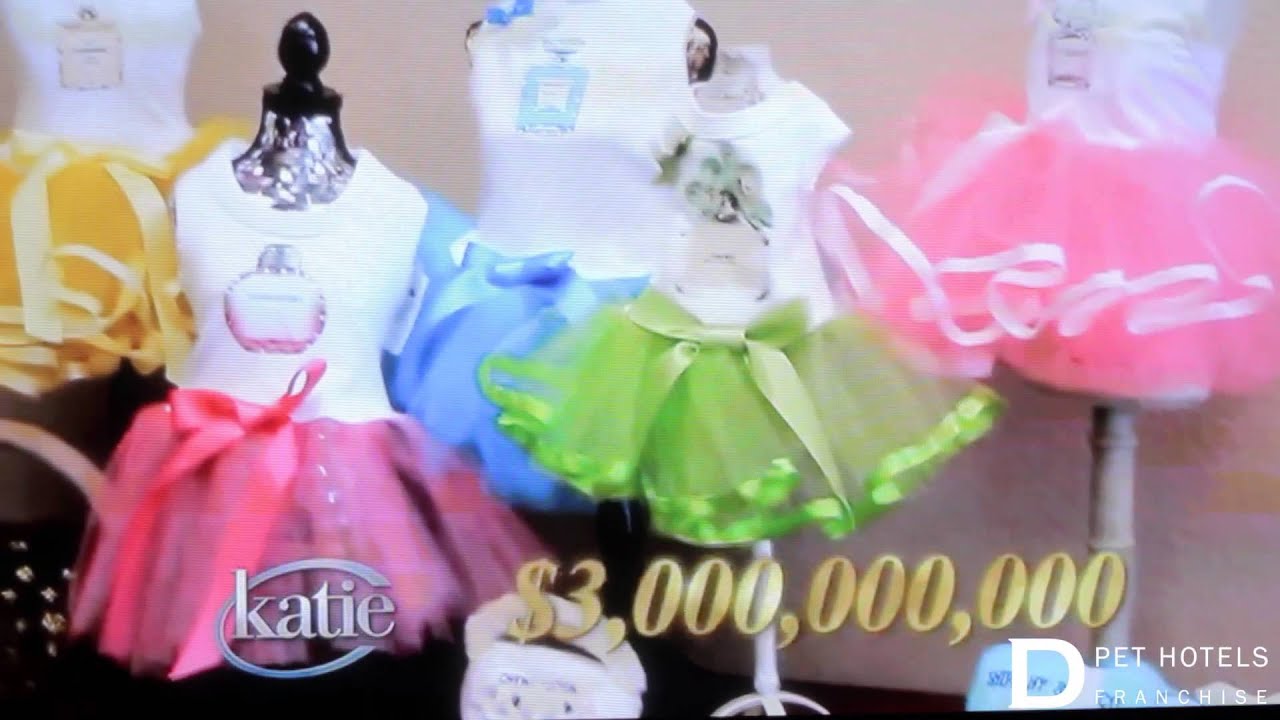 Katie Couric - D Pet Hotels