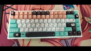 My first time modding a keyboard (Royal Kludge RK84 Hot Swap)