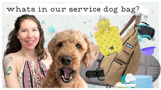 Service Dog Essentials: What's in My Bag? + New Handler Tips No One Asked For  #servicedogs #sdit
