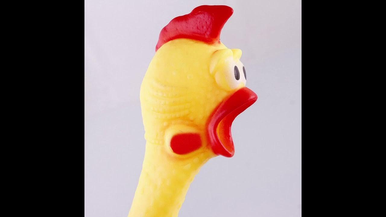 Rubber chicken sound YouTube