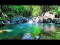 Peaceful mountain river sounds for deep sleep