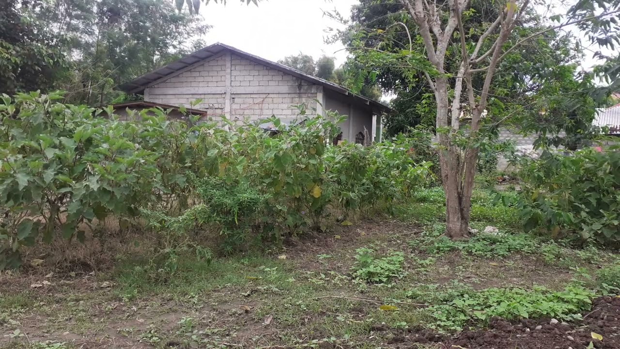 Nagkari ka kaniak cover by Jomar bauat